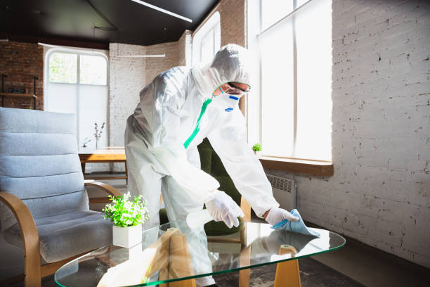 Best Biohazard Mold Removal  in USA